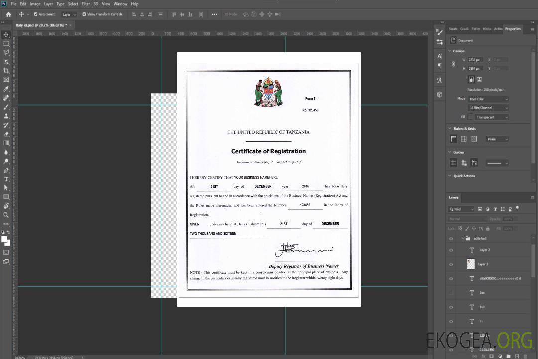 TANZANIE entreprise reg. certificat template TANZANIE entreprise reg. certificat template